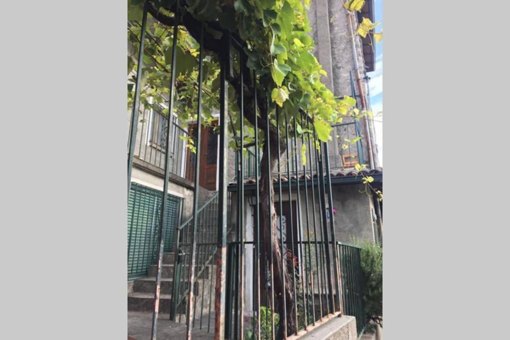 Nel Set Di Piccolo Mondo Antico Villa Viola Valsolda Dış mekan fotoğraf